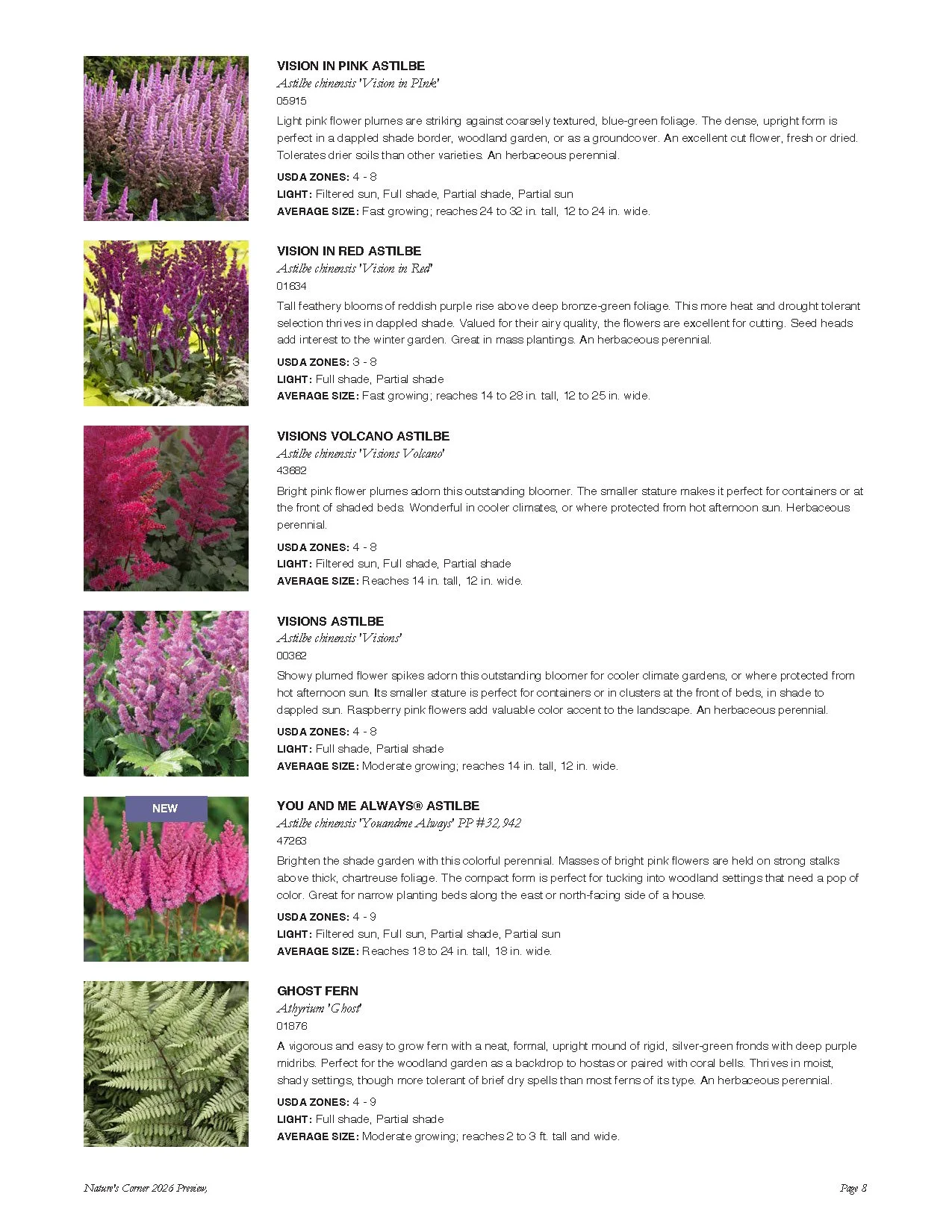 2026 Plant List | Discover Top Plants – Shop Now — Nature's Corner